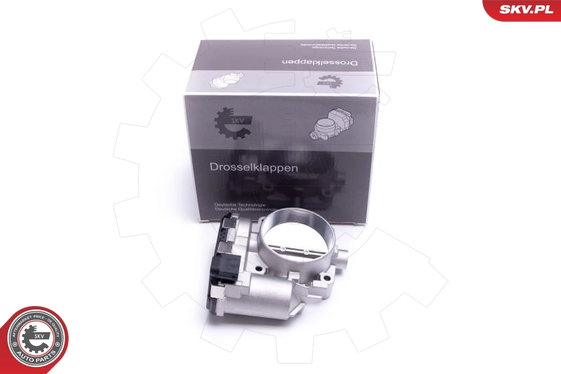 Throttle Body